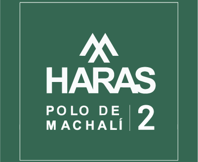 Haras Polo 2